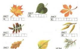 Значение листопада в жизни растений